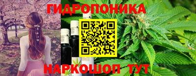 стафф Жуковский